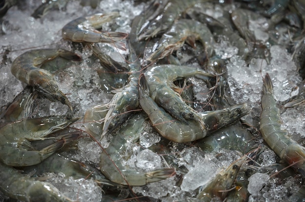 Las gambas frescas están en hielo para la venta en el mercado.