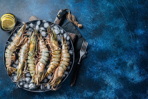 Gambas tigre negro camarones en un plato con hielo Mariscos crudos Fondo azul Vista superior Espacio de copia libre