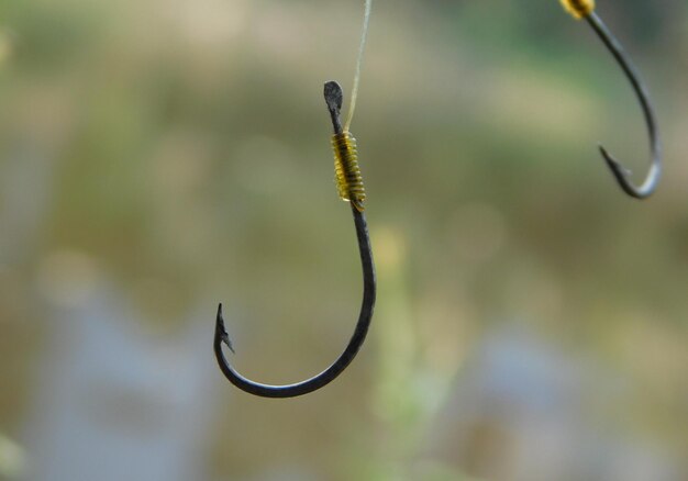 Foto gancho de pesca