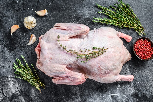 Ganso cru ao ar livre com especiarias prontas para cozinhar.