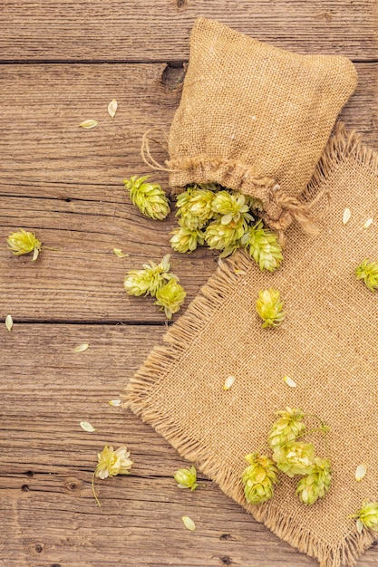 Ganze Hopfen in der Tasche auf hölzerner alter Tabelle. Brauerei. Bierzutaten. Sack Hopfen auf Weinlesebrettern