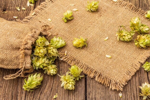 Ganze Hopfen in der Tasche auf hölzerner alter Tabelle. Brauerei. Bierzutaten. Sack Hopfen auf Weinlesebrettern