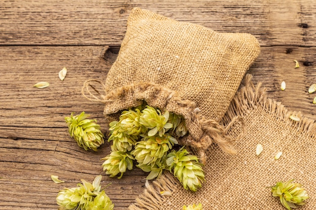 Ganze Hopfen in der Tasche auf hölzerner alter Tabelle. Brauerei. Bierzutaten. Sack Hopfen auf Weinlesebrettern