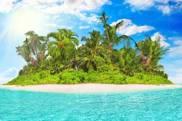 Ganze tropische Insel im Atoll im tropischen Ozean an einem Sommertag. Unbewohnte und wilde subtropische Insel mit Palmen. Äquatorialer Teil des Ozeans, tropisches Inselresort.