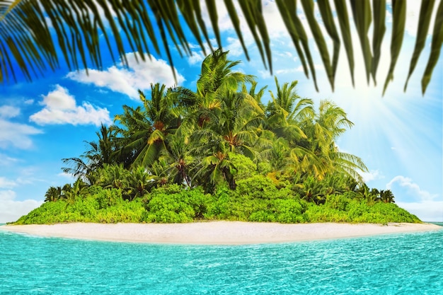 Ganze tropische Insel im Atoll im tropischen Ozean an einem Sommertag. Unbewohnte und wilde subtropische Insel mit Palmen. Äquatorialer Teil des Ozeans, tropisches Inselresort.