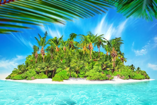 Ganze tropische Insel im Atoll im tropischen Ozean. Unbewohnte und wilde subtropische Insel mit Palmen. Äquatorialer Teil des Ozeans, tropisches Inselresort.