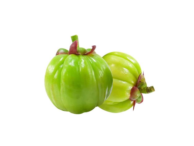 Garcinia cambogia Garcinia gummi gutta ou baga de brindle parece com abóbora usada na medicina popular