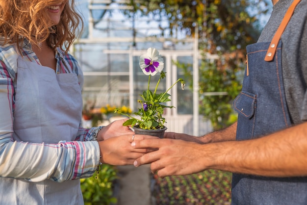 Gardners trabajando en el centro de jardinería