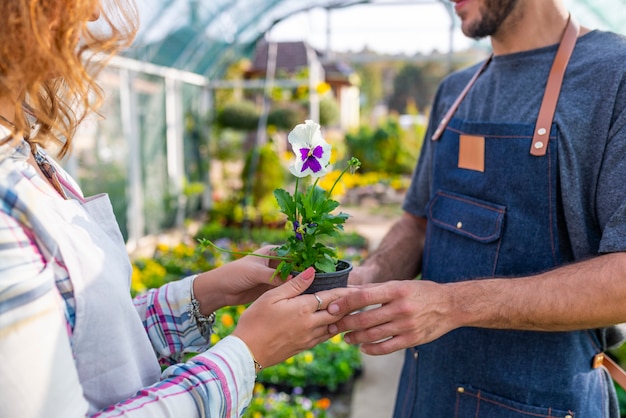 Gardners trabalhando no Garden Center