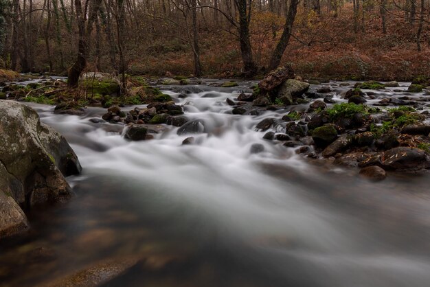 Garganta de Pedro Chate Paisagem perto de Jaraiz de la Vera Caceres Extremadura Espanha