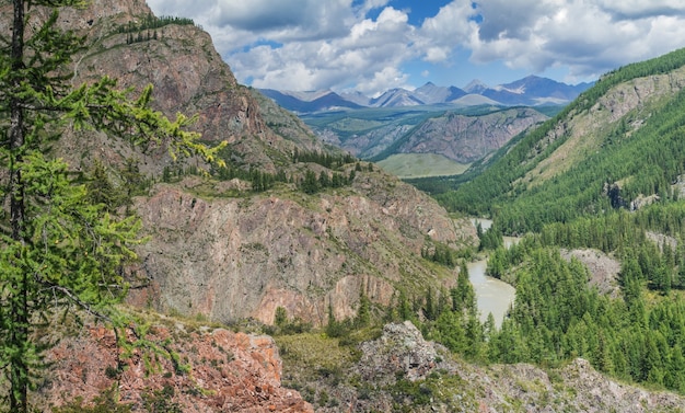 Garganta de la montaña en un día de verano