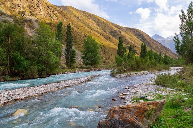 Garganta de montaña con río