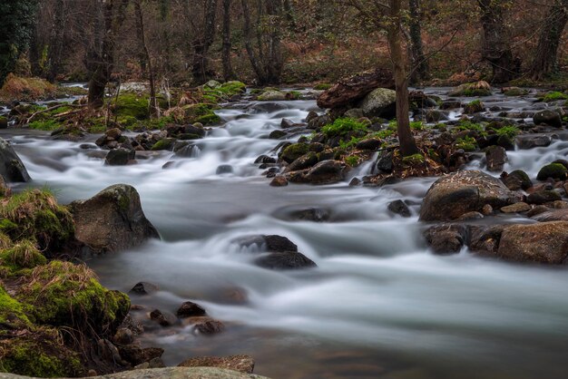 Foto garganta de pedro chate paisaje cerca de jaraiz de la vera caceres extremadura españa