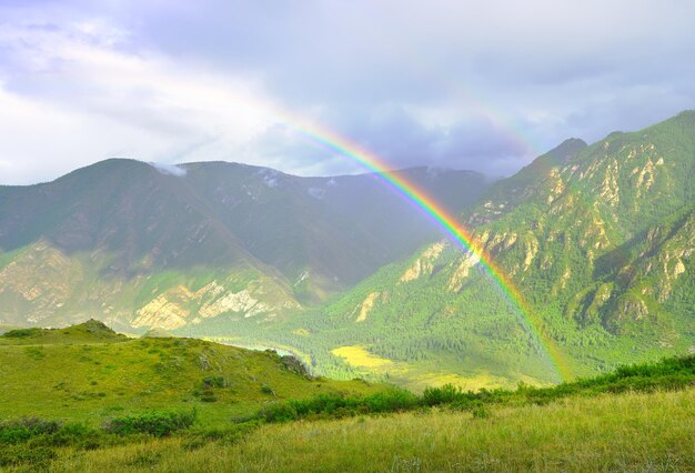 Garganta del río Katun montañas rocosas cubiertas de vegetación Alaty Siberia Rusia