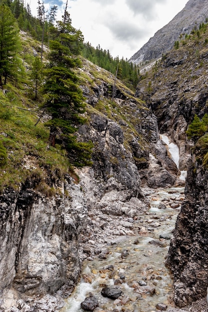 Garganta con un río en las montañas Una pequeña cascada al final Árboles coníferos en las laderas El clima está nublado Vertical