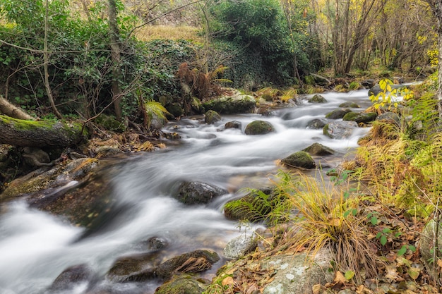 Garganta San Gregorio. Paisagem perto de Aldeanueva de la Vera, Cáceres. Extremadura. Espanha.