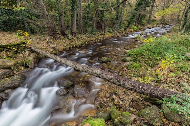 Garganta San Gregorio. Paisaje cerca de Aldeanueva de la Vera, Cáceres. España.