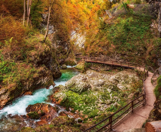 Garganta de Vintgar Eslovenia