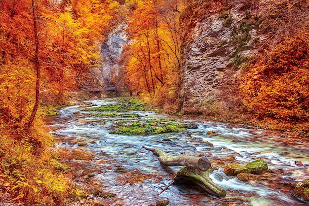 Garganta de Vintgar, Eslovenia