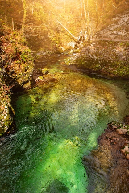 Garganta de Vintgar Eslovenia