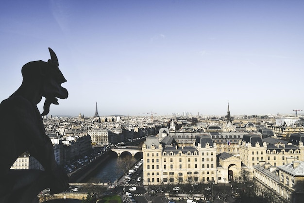 Gárgola y vistas de la ciudad de París desde Notre Dame