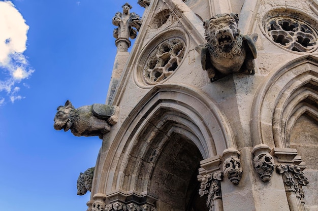 Foto las gárgolas de la catedral