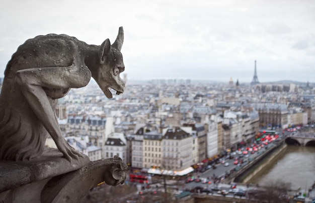 Gargoyle Kathedrale Paris Eiffelturm