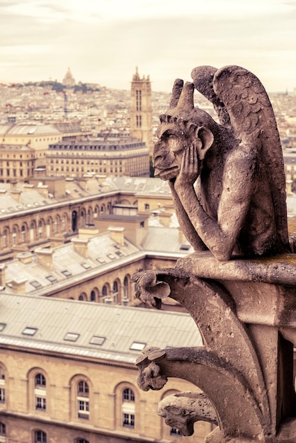 Gárgula da Catedral de Notre Dame de Paris, França