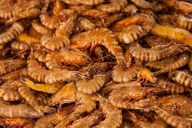 Garnelen in der Nähe des Marktes in Asien Flachtiefe der Felder selektiver Fokus