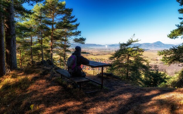 Garota alpinista sentada no banco na floresta e olhando para o país