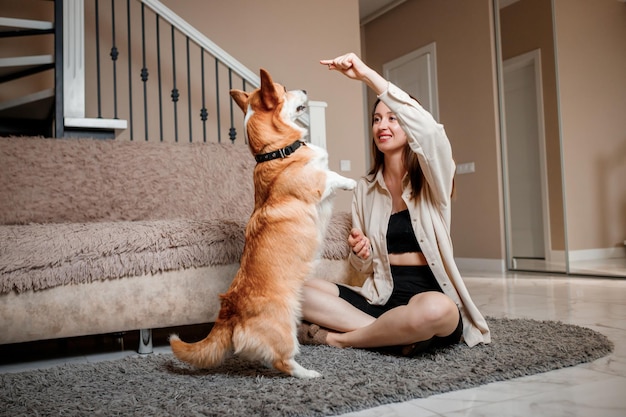 Garota atraente abraça e brinca com cachorro corgi em casa Welsh Corgi Pembroke com sua dona no chão da sala de estar