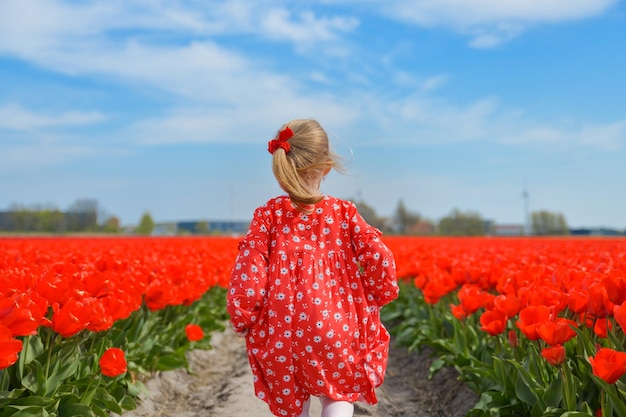 Garota correndo em um campo de tulipas vermelhas