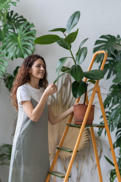 Garota de jardineiro freelance cuida de plantas de casa no jardim de casa cuidando de florista limpando folhas de ficus