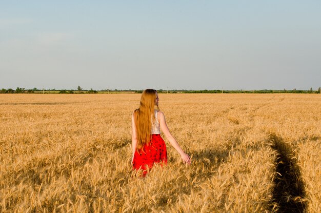 Garota de saia vermelha andando no campo de trigo, vista traseira