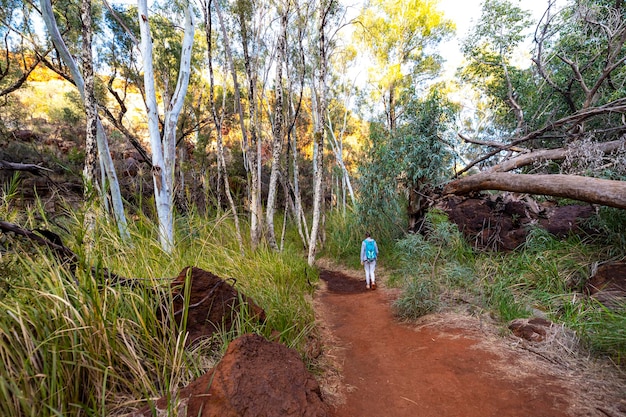 garota de shorts caminhando no parque nacional karijini, austrália ocidental, caminhando à beira de um desfiladeiro