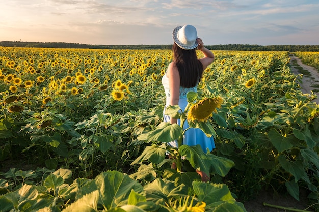 Garota de vestido azul sai com chapéu no campo de girassóis no pôr do sol Siga-me o conceito