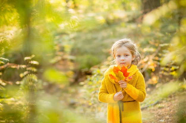 garota está brincando com folhas que caem. Crianças no parque. Crianças, caminhadas na floresta de outono. Criança da criança sob uma árvore de bordo em um dia ensolarado de outubro.