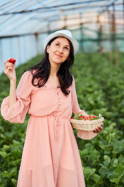 Garota está colhendo morango na estufa Cesta com frutas orgânicas frescas comida saudável morango Apoie os negócios locais Campo aproveite as pequenas coisas estilo de vida do núcleo da natureza