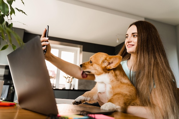 Foto garota freelancer com laptop fazendo selfie fazendo selfie com seu cachorro corgi garota faz uma pausa no trabalho para fazer selfie com seu animal de estimação doméstico estilo de vida do animal de estimação welsh corgi pembroke