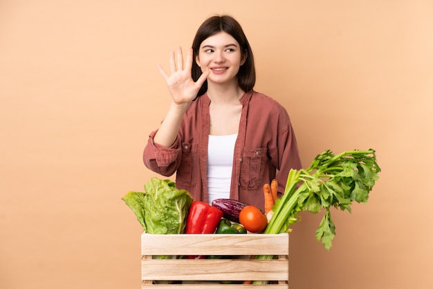Garota jovem agricultor com legumes recém colhidos em uma caixa contando cinco com os dedos