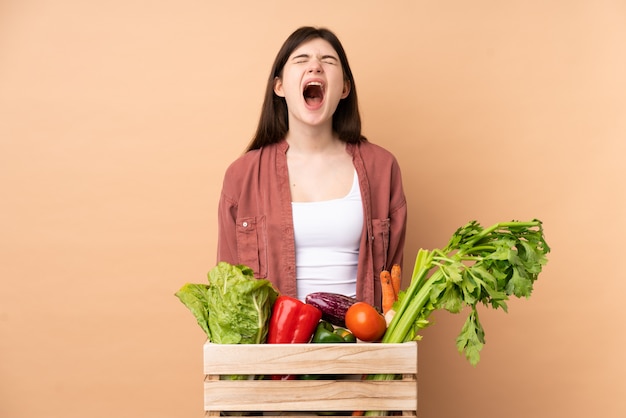 Garota jovem agricultor com legumes recém colhidos em uma caixa gritando para a frente com a boca aberta