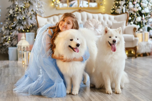 Garota legal em um vestido azul claro com dois cães samoiedos brancos