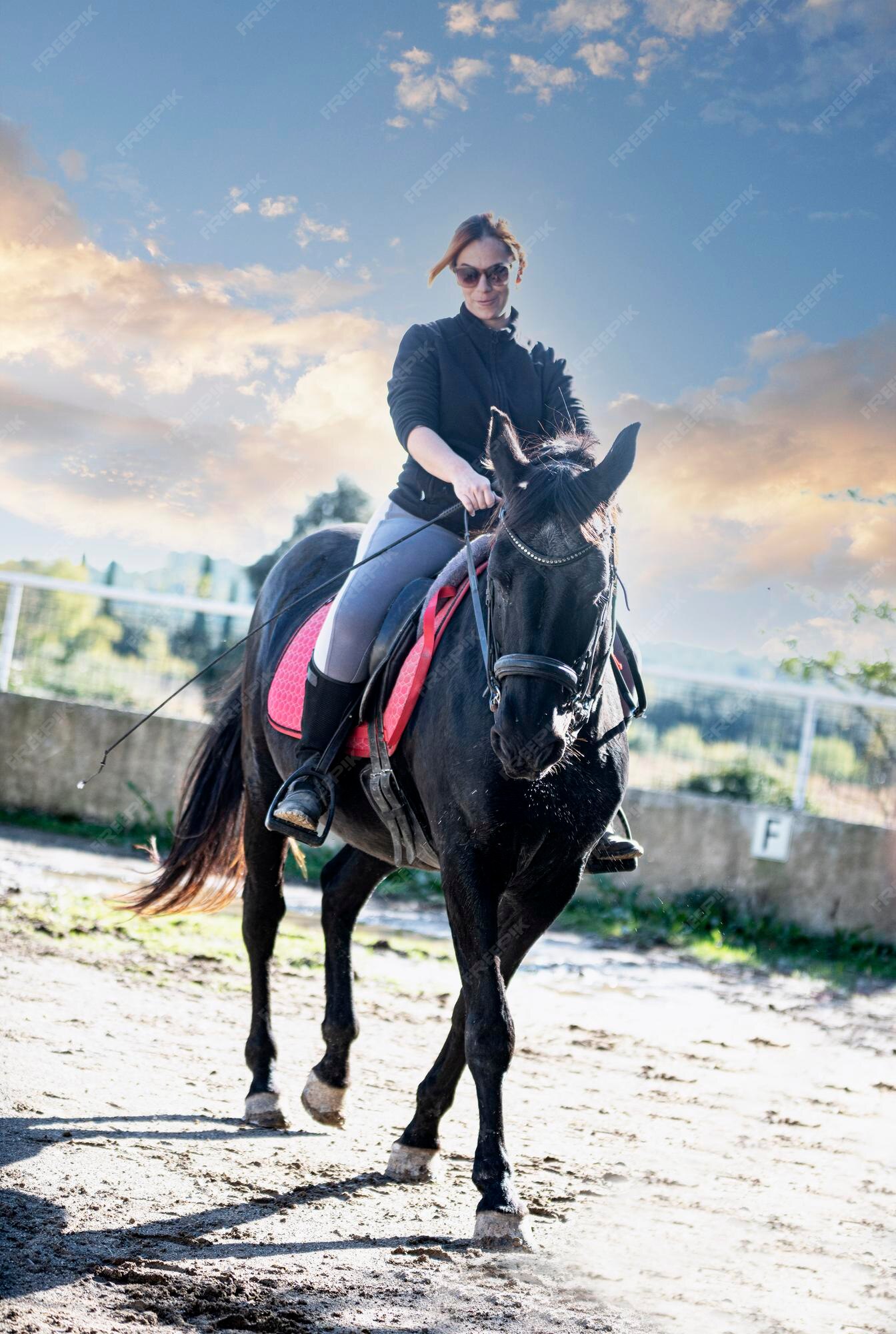 Mulher-cavalo Cavalgando a Cavalo Marrom E Pulando a Cerca Na Arena De  Sandy Parkour Salto De Treinamento Competitivo Filme - Vídeo de cantor,  mostra: 160093714