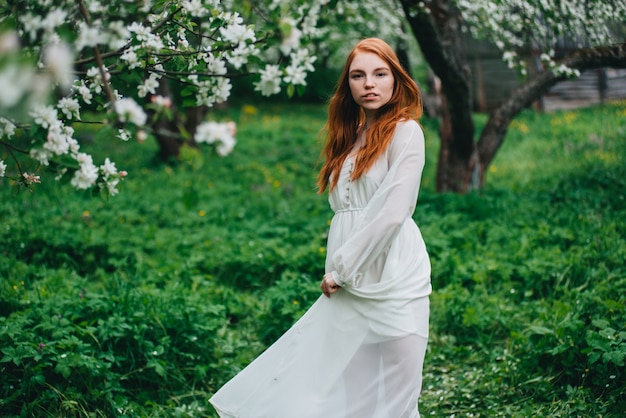 Garota ruiva linda em um vestido branco entre macieiras florescendo no jardim.