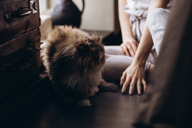 Garota se comunica com seu gato fofo vermelho doméstico. Amor pelos animais.