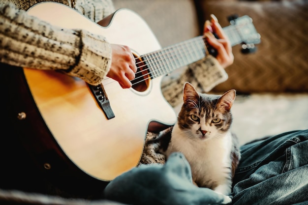 Garota se senta no sofá na sala e toca violão para o gato Amizade e amor pelo animal de estimação