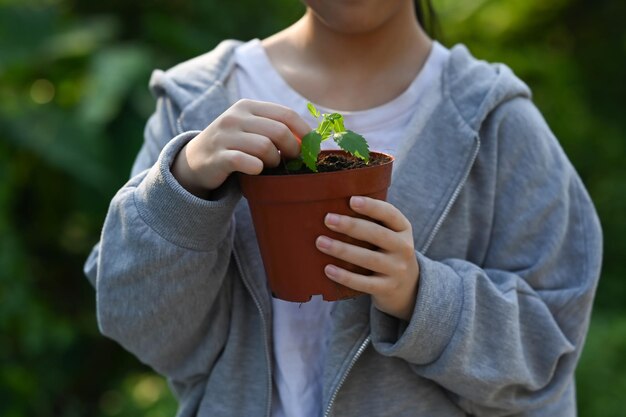 Garota segurando uma planta em vaso nas mãos contra o fundo verde da natureza turva Salvando o conceito mundial de ecologia do dia da terra