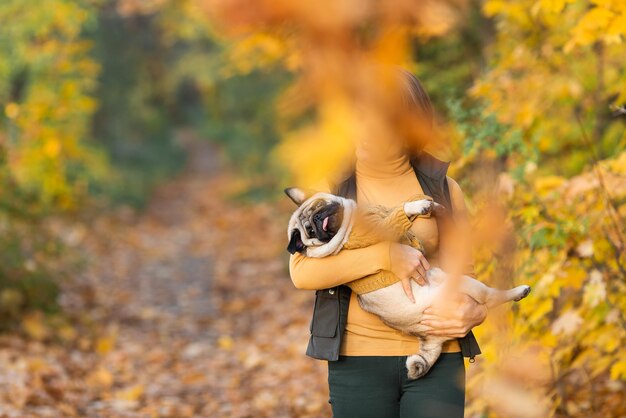 Garota sorridente detém cachorro pug no outono no parque.