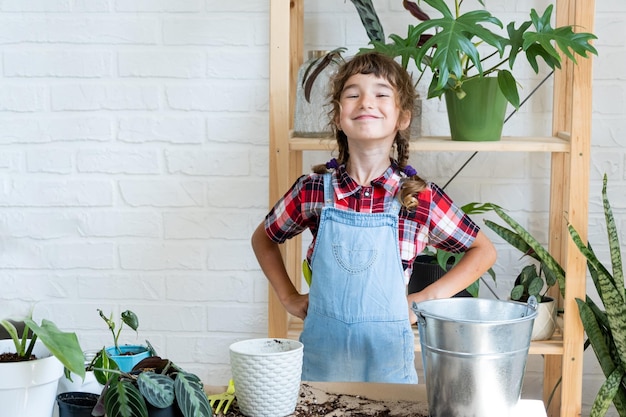 Garota transplanta um filodendro de planta de casa em um novo solo com drenagem planta em vaso