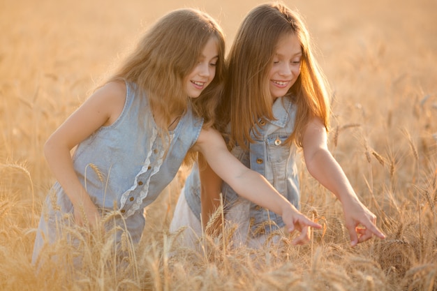 Foto garotas se divertindo em um campo de trigo. roupas leves, jeans. cabelo dourado, pôr do sol, diversão